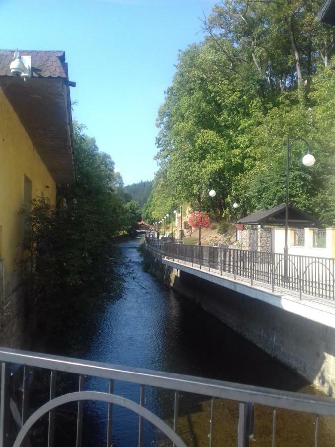Bialy Apartament Polanica-Zdrój Eksteriør billede